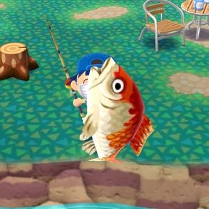 Meet your Posher, Kylie